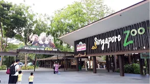 Singapore Zoo